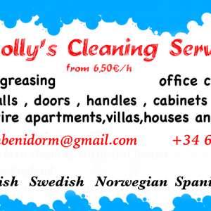 Holly's Cleaning Sevice