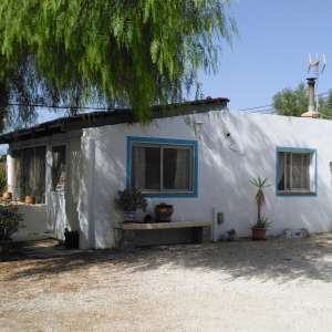 Bungalow to rent in Campo 2km beneath centre of Crevillent