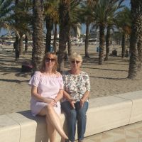 Buses to quadamar and Torrevieja from rojales