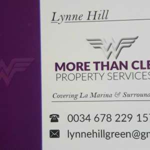 More Than Clean Property Services