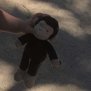 Lost: Child’s toy monkey 🐒