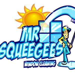 Mr Squeegees
