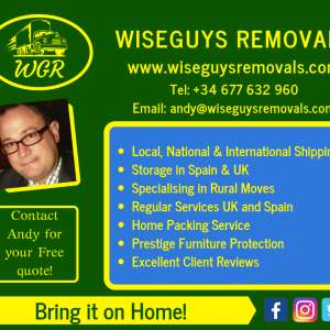 Wiseguys Removals